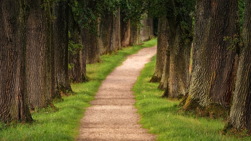 Nature Walk